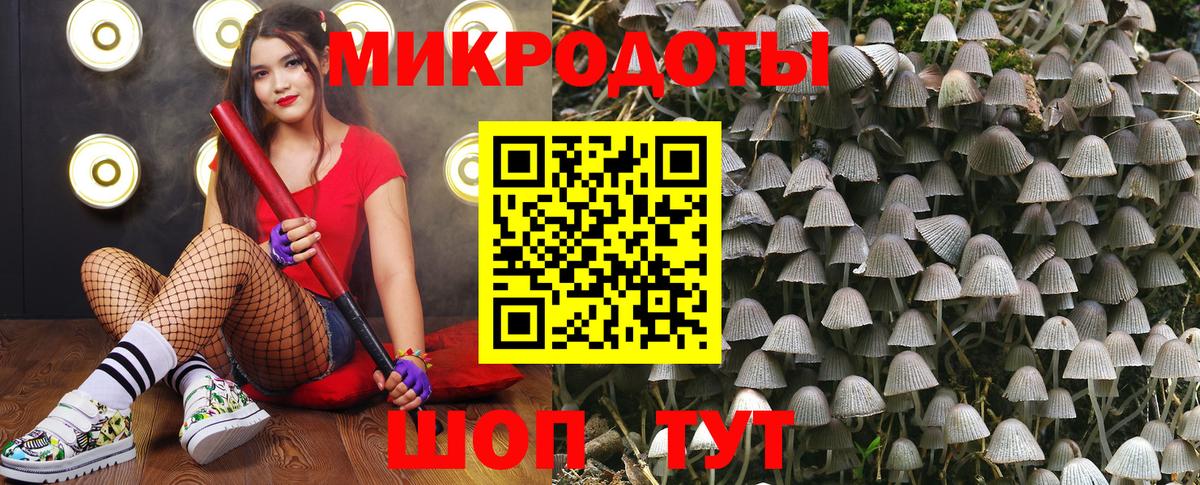Уварово  цена   Вход с VPN  Галлюциногенные грибы Psilocybe 