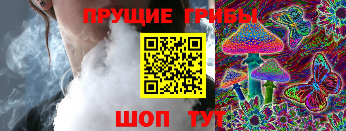 Псилоцибиновые грибы Psilocybe Уварово